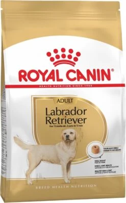 Royal Canin Labrador Retriever Adult 12 KG -Exporteren Alles Voor Honden Winkel 744x1200