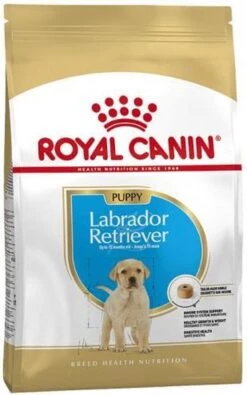 Royal Canin Labrador Retriever Junior 12 KG 35 Royal Canin Labrador Retriever Junior 12 KG -Exporteren Alles Voor Honden Winkel 750x1200