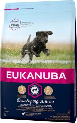Eukanuba Developing Junior Large Breed Kip - Hondenvoer - 15 Kg -Exporteren Alles Voor Honden Winkel 755x1200
