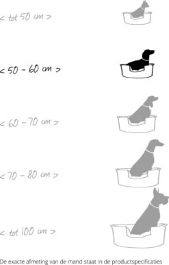 Flamingo - Hondenmand Domus - Grijs - M - 70 X 47 X 22 Cm -Exporteren Alles Voor Honden Winkel 767x1200 12