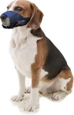 Pawise Muilkorf Adjustable - L - Size 9 Pawise Muilkorf Adjustable - L - Size -Exporteren Alles Voor Honden Winkel 773x1200 2