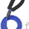 Hondenriem 300cm 3 Meter Extra Sterk Blauw Hond Riem -Exporteren Alles Voor Honden Winkel 779x1200 1