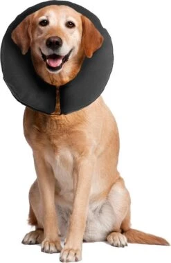 Zenpet ProCollar Hondenkraag XL – Hondenkraag – Beschermkraag Hond – Hondenkap Na Operaties – Zwart – Nek Omtrek 40.6 Tot 55.9cm -Exporteren Alles Voor Honden Winkel 780x1200 4