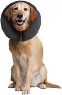 Zenpet ProCollar Hondenkraag XL – Hondenkraag – Beschermkraag Hond – Hondenkap Na Operaties – Zwart – Nek Omtrek 40.6 Tot 55.9cm -Exporteren Alles Voor Honden Winkel 784x1200 8
