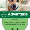 Bayer Anti Vlooienmiddel Advantage 400 25 - 40 Kg - 4 Pipetten -Exporteren Alles Voor Honden Winkel 786x1200 7