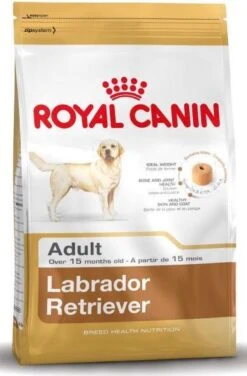 Royal Canin Labrador Retriever Adult 12 KG -Exporteren Alles Voor Honden Winkel 789x1200