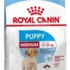 Royal Canin Medium Junior 15 KG -Exporteren Alles Voor Honden Winkel 795x1200 3