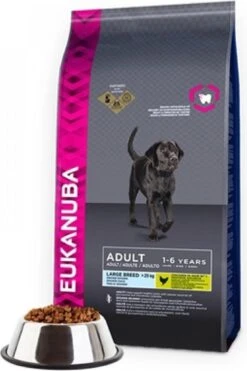 Eukanuba Dog Adult - Large Breed - Kip - Hondenvoer - 12 Kg -Exporteren Alles Voor Honden Winkel 800x1200