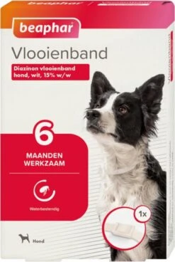 Beaphar Vlooienband Wit - 1 St -Exporteren Alles Voor Honden Winkel 805x1200 3