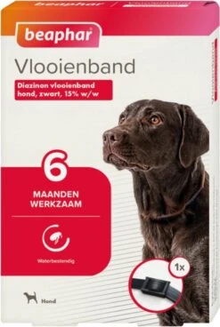 Beaphar Vlooienband Hond - Zwart - 1 Stuk -Exporteren Alles Voor Honden Winkel 806x1200 1
