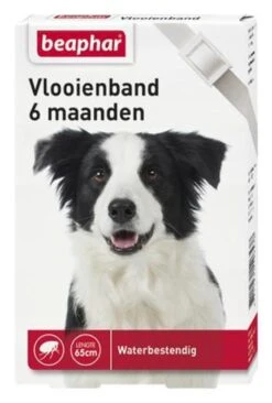 Beaphar Vlooienband Wit - 1 St -Exporteren Alles Voor Honden Winkel 810x1200 8