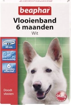 Beaphar Vlooienband Wit - 1 St -Exporteren Alles Voor Honden Winkel 812x1200 6
