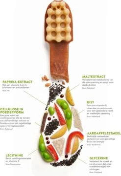 Whimzees Tandenborstel Hondensnack - 6,5 Cm - 48 Stuks 24 Whimzees Tandenborstel Hondensnack - 6,5 Cm - 48 Stuks -Exporteren Alles Voor Honden Winkel 820x1200 3