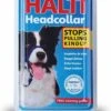 Halti Headcollar - Maat 2 1 Halti Headcollar - Maat 2 -Exporteren Alles Voor Honden Winkel 823x1200 1