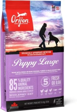 Orijen Puppy Large Breed 24 Orijen Puppy Large Breed -Exporteren Alles Voor Honden Winkel 828x1200 1