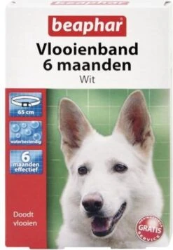 Beaphar Vlooienband Hond - Zwart - 1 Stuk -Exporteren Alles Voor Honden Winkel 831x1200 2