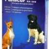 Panacur Ontworming - Middelgroot En Grote Hond - 10 Tabletten -Exporteren Alles Voor Honden Winkel 832x1200 3