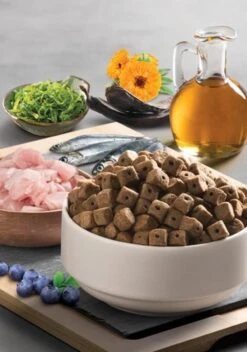 Bonacibo Dog Form Senior & Overgewicht - Hypoallergeen Hondenvoer - 15 Kg -Exporteren Alles Voor Honden Winkel 841x1200