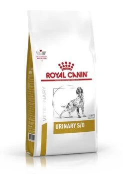 Royal Canin Urinary S/O - Hondenvoer - 7,5 Kg -Exporteren Alles Voor Honden Winkel 848x1200 1