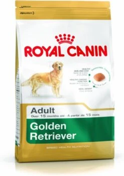 Royal Canin Golden Retriever 12 KG -Exporteren Alles Voor Honden Winkel 848x1200 2