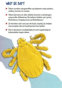 Prac-tic Middel Grote Hond 11 Tot 22 Kg - 1 St à 3 Pipetten -Exporteren Alles Voor Honden Winkel 848x1200 4