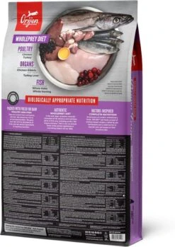 Orijen Puppy Large Breed 26 Orijen Puppy Large Breed -Exporteren Alles Voor Honden Winkel 849x1200