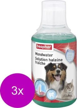 Beaphar Mondwater Hond/Kat - Gebitsverzorging - 3 X 250 Ml 8 Beaphar Mondwater Hond/Kat - Gebitsverzorging - 3 X 250 Ml -Exporteren Alles Voor Honden Winkel 850x1200 5