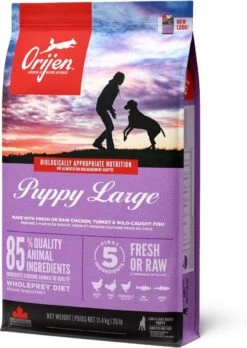 Orijen Puppy Large Breed 30 Orijen Puppy Large Breed -Exporteren Alles Voor Honden Winkel 852x1200