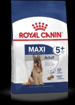 Royal Canin Maxi Adult 5+ Jaar Oud - Hondenvoer - 15 Kg 31 Royal Canin Maxi Adult 5+ Jaar Oud - Hondenvoer - 15 Kg -Exporteren Alles Voor Honden Winkel 865x1200