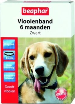 Beaphar Vlooienband Hond - Zwart - 1 Stuk -Exporteren Alles Voor Honden Winkel 867x1200 1