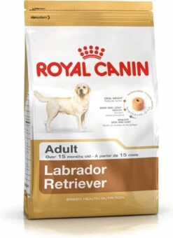 Royal Canin Labrador Retriever Adult 12 KG -Exporteren Alles Voor Honden Winkel 873x1200