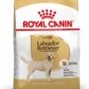 Royal Canin Labrador Retriever Adult 12 KG 1 Royal Canin Labrador Retriever Adult 12 KG -Exporteren Alles Voor Honden Winkel 880x1200