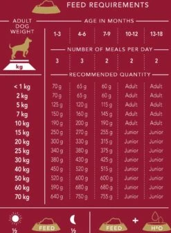 Delcon - Premium Hondenvoer - Puppy - 12kg -Exporteren Alles Voor Honden Winkel 883x1200