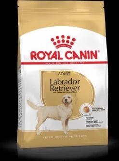 Royal Canin Labrador Retriever Adult 12 KG -Exporteren Alles Voor Honden Winkel 893x1200