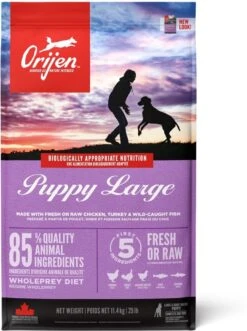 Orijen Puppy Large Breed 31 Orijen Puppy Large Breed -Exporteren Alles Voor Honden Winkel 895x1200 1