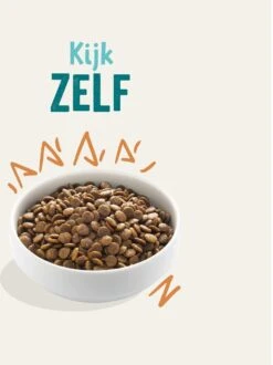 Edgard & Cooper Verse Scharrelkip Adult - Hondenvoer - 7kg 26 Edgard & Cooper Verse Scharrelkip Adult - Hondenvoer - 7kg -Exporteren Alles Voor Honden Winkel 897x1200