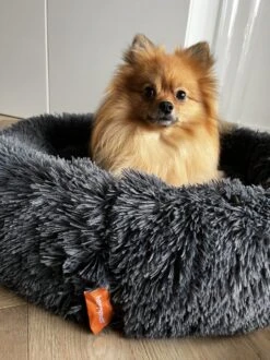 Happysnoots Hondenmand Met Rits - 80cm - Hondenbed - Donut Dog Bed - Fluffy - Grijs - Wasbaar 25 Happysnoots Hondenmand Met Rits - 80cm - Hondenbed - Donut Dog Bed - Fluffy - Grijs - Wasbaar -Exporteren Alles Voor Honden Winkel 899x1200 15