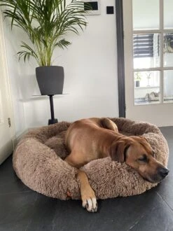Happysnoots Hondenmand Met Rits - 80cm - Hondenbed - Donut Dog Bed - Fluffy - Grijs - Wasbaar 29 Happysnoots Hondenmand Met Rits - 80cm - Hondenbed - Donut Dog Bed - Fluffy - Grijs - Wasbaar -Exporteren Alles Voor Honden Winkel 899x1200 16