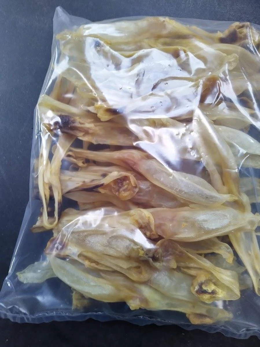 Konijn Oor Konijnoren 1kg Van De Snackmeester 100% Natuurlijk Natural Naturel 4 Konijn Oor Konijnoren 1kg Van De Snackmeester 100% Natuurlijk Natural Naturel - Afbeelding 2