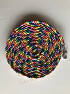 Exporteren Alles Voor Honden Winkel 33 Merkloos Bianca's Lange Lijn 5 Meter - Medium - Regenboog