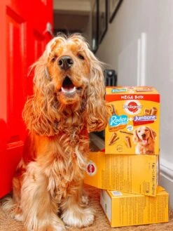 Pedigree Megabox Hondensnacks - 24 X Rodeo En 4 X Jumbone - 780 Gr -Exporteren Alles Voor Honden Winkel 900x1200 12