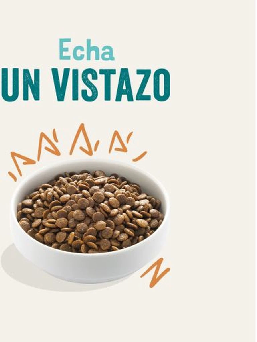 Edgard & Cooper Verse Scharrelkip Adult - Hondenvoer - 7kg 10 Edgard & Cooper Verse Scharrelkip Adult - Hondenvoer - 7kg - Afbeelding 8