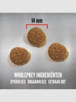 Orijen Puppy Large Breed 25 Orijen Puppy Large Breed -Exporteren Alles Voor Honden Winkel 900x1200 3