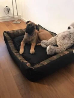 Hondenmand Cordura XXXL – Donkergrijs - 125 X 90 X 24 Cm -Exporteren Alles Voor Honden Winkel 900x1200 38