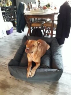 Hondenmand Cordura XXXL – Donkergrijs - 125 X 90 X 24 Cm -Exporteren Alles Voor Honden Winkel 900x1200 39