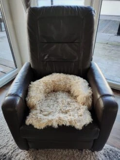 Kussen Voor Kat Of Kleine Hond | Fluffy Dierenkussen Van Pluche | Kat | Bank | Mand | Kattenmand | Kattendeken & Bankbeschermer Max. 15 Kg | Beige | Maat XS 11 Kussen Voor Kat Of Kleine Hond | Fluffy Dierenkussen Van Pluche | Kat | Bank | Mand | Kattenmand | Kattendeken & Bankbeschermer Max. 15 Kg | Beige | Maat XS -Exporteren Alles Voor Honden Winkel 900x1200 40