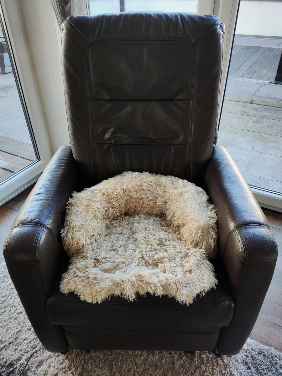 Kussen Voor Kat Of Kleine Hond | Fluffy Dierenkussen Van Pluche | Kat | Bank | Mand | Kattenmand | Kattendeken & Bankbeschermer Max. 15 Kg | Beige | Maat XS 7 Kussen Voor Kat Of Kleine Hond | Fluffy Dierenkussen Van Pluche | Kat | Bank | Mand | Kattenmand | Kattendeken & Bankbeschermer Max. 15 Kg | Beige | Maat XS - Afbeelding 5