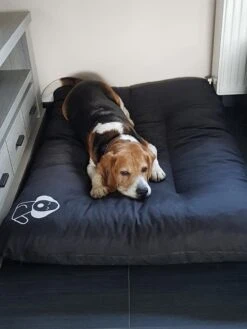 Hondenkussen XL - Donkergrijs - 60 X 90 X 12 -Exporteren Alles Voor Honden Winkel 900x1200 42