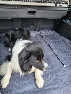 Luxe Hondendeken 200 X 150 Cm Auto Achterbank Kofferbak Vuilafstotend & Beschermend -Exporteren Alles Voor Honden Winkel 900x1200 47