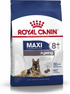 Royal Canin Maxi Ageing 8+ 15 KG -Exporteren Alles Voor Honden Winkel 900x1200 9
